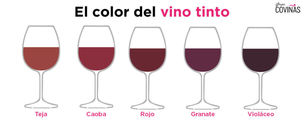 colores del vino tinto